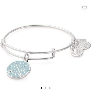 Alex and Ani Arrows of Friendship Charm Bangle NWT